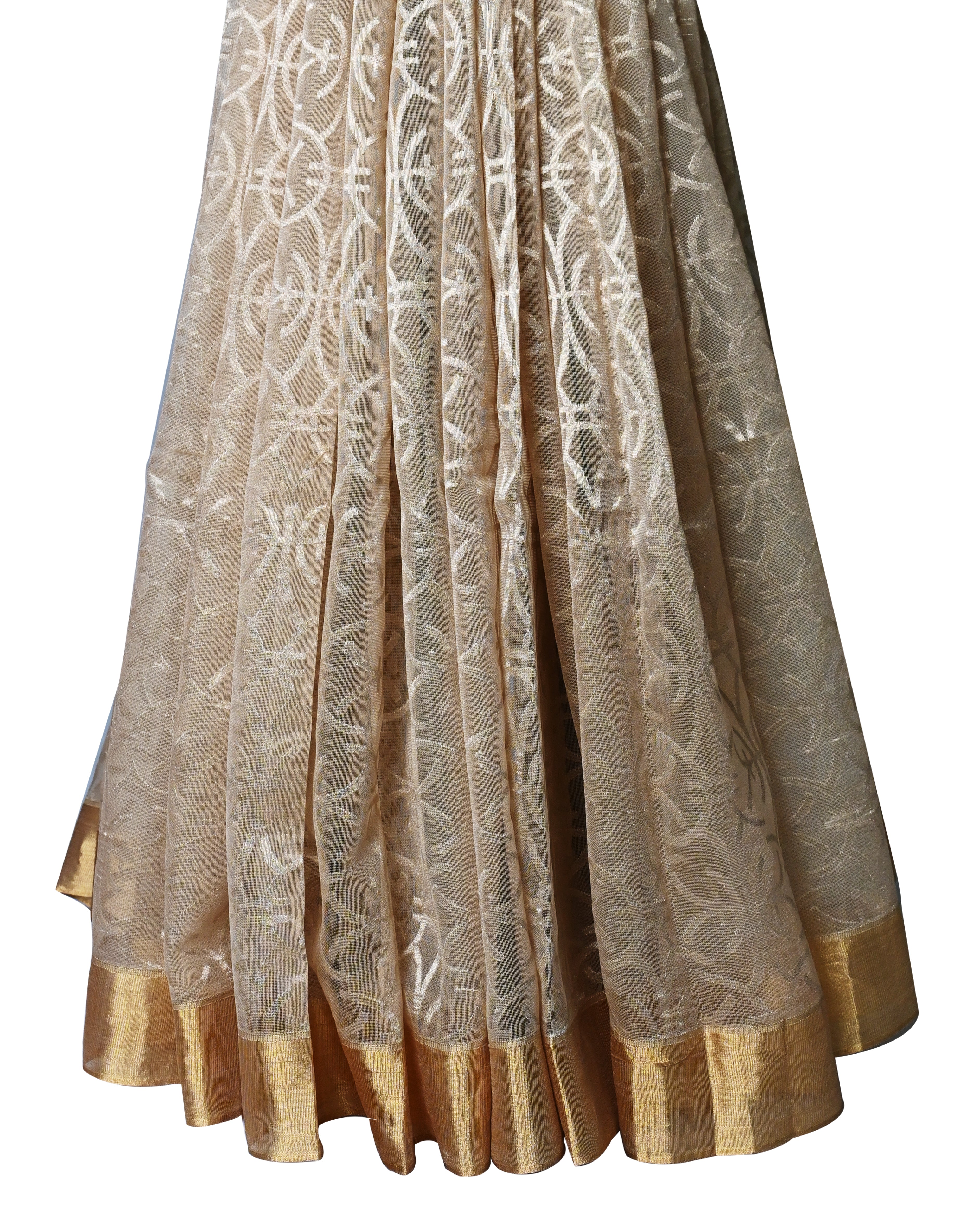 Tissue Net Beige Saree