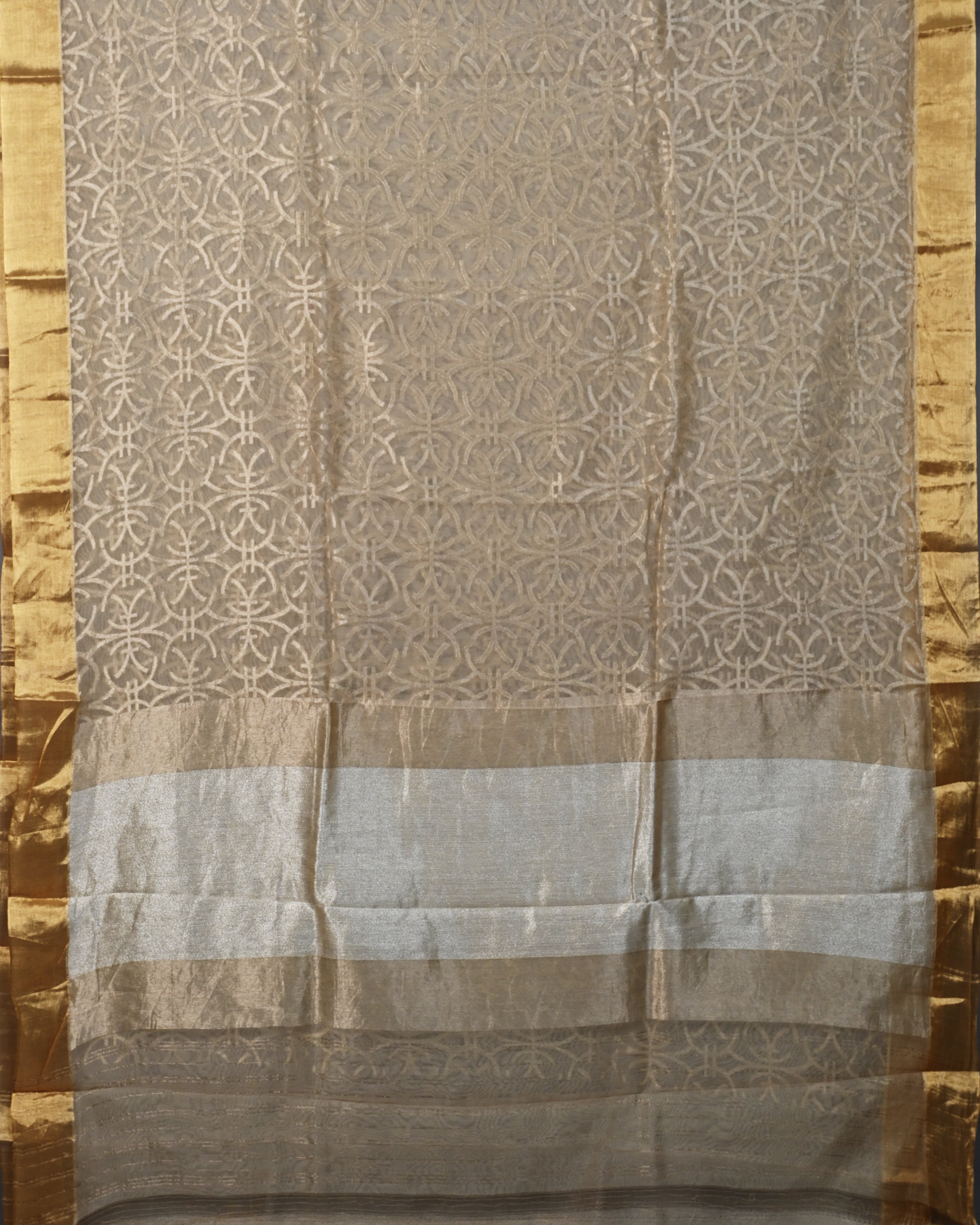 Tissue Net Beige Saree
